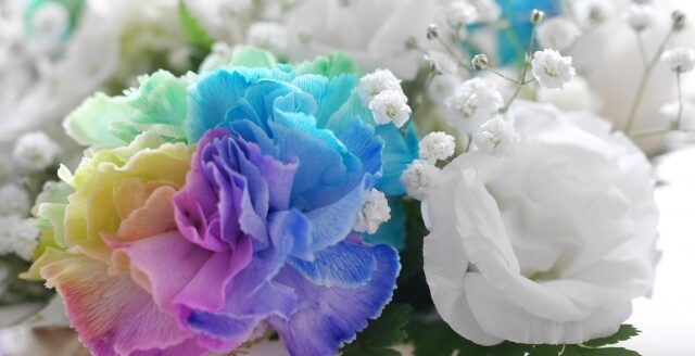 彩り豊かなバラの花を囲む白い花