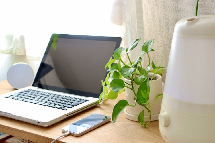 明るい窓辺の机に、ノートパソコン、スマートフォン、観葉植物、加湿器が並び、落ち着いた雰囲気が広がっている。