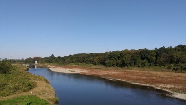 澄み渡る青空の下、緩やかに流れる川とその両岸に広がる草地、奥には木々が茂る緑の森が続く、穏やかな秋の風景。